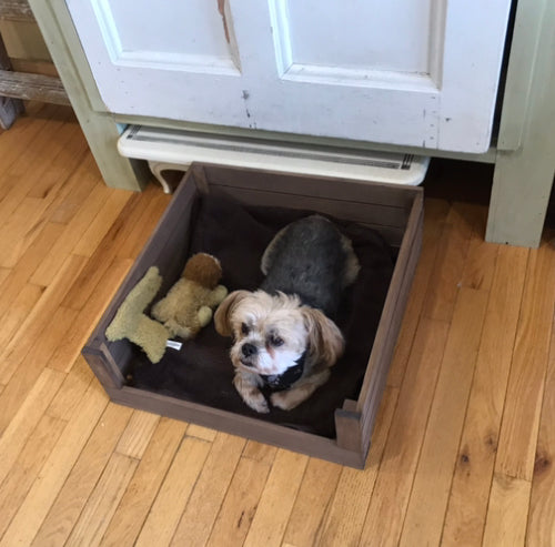 Crate-style small dog bed in medium brown finish with dog inside