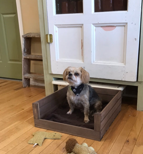 Rustic wooden crate style bed for small dogs with toy on hardwood floor
