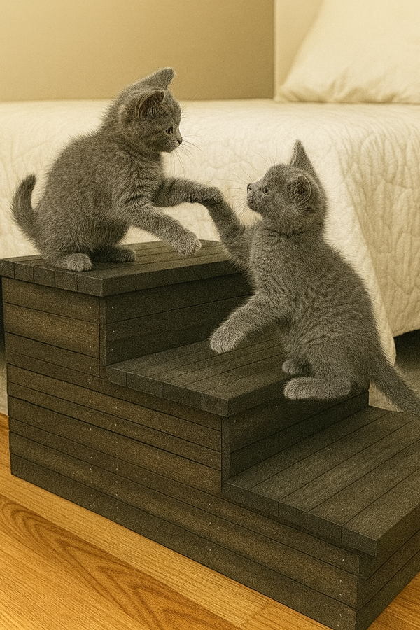 Two kittens playing on rustic dark walnut 3-step wooden pet stairs beside a bed.