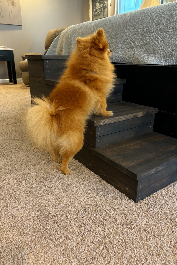 Small fluffy dog using rustic 4-step wooden stairs to climb onto bed