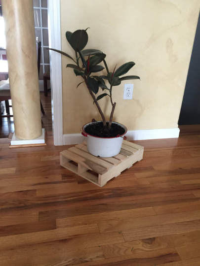 Wooden pallet used as a plant stand holding a potted plant