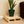 Wooden pallet plant stand with green potted plant in living room