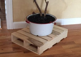 Wooden pallet stand holding potted plant on hardwood floor