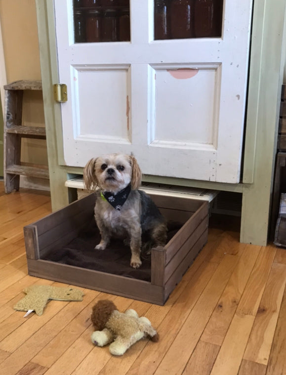 Small dog sitting in a rustic wooden pet bed with medium brown stain finish