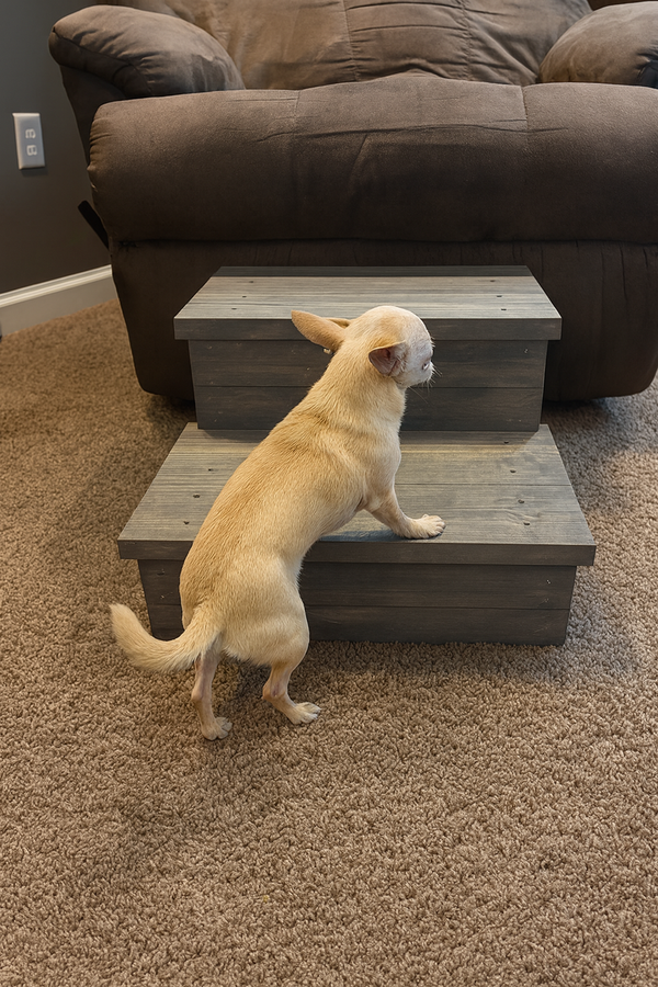 Small dog using rustic gray 2-step wooden stairs to climb onto a couch, perfect for pets.