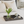 Medium gray wooden serving tray on bed with tulips, coffee, and book
