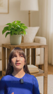 Rustic farmhouse medium end table product video showcasing style and design details.