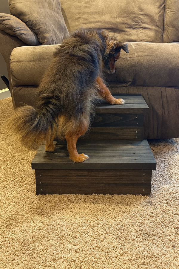 Small dog climbing on a vintage dark wooden 2-step stool, rustic handmade pet stairs.