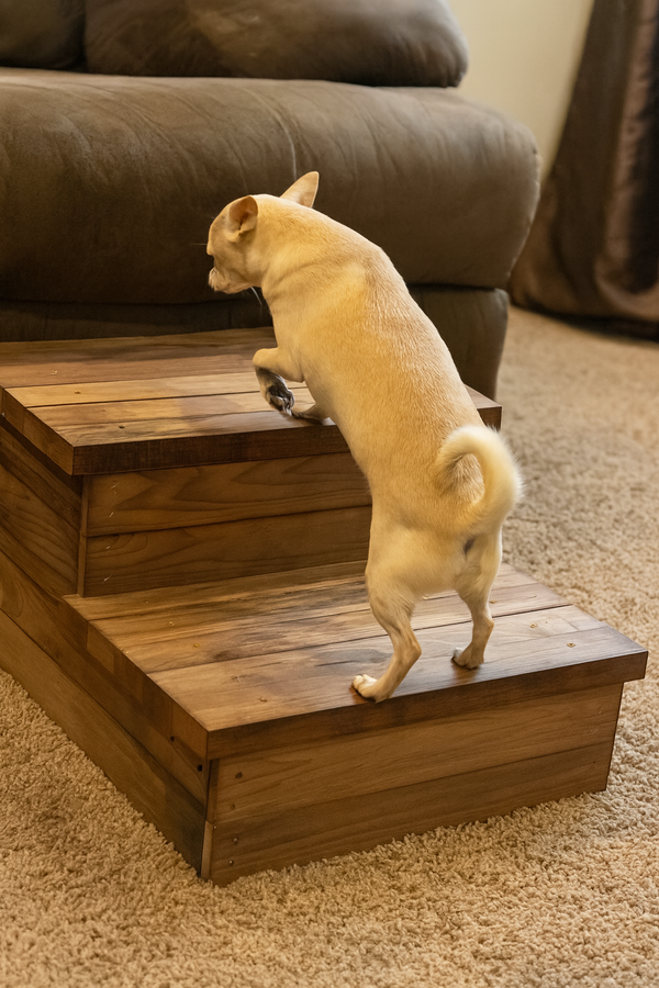 Small tan dog climbing 2-step wooden pet stairs in Early American finish beside sofa.